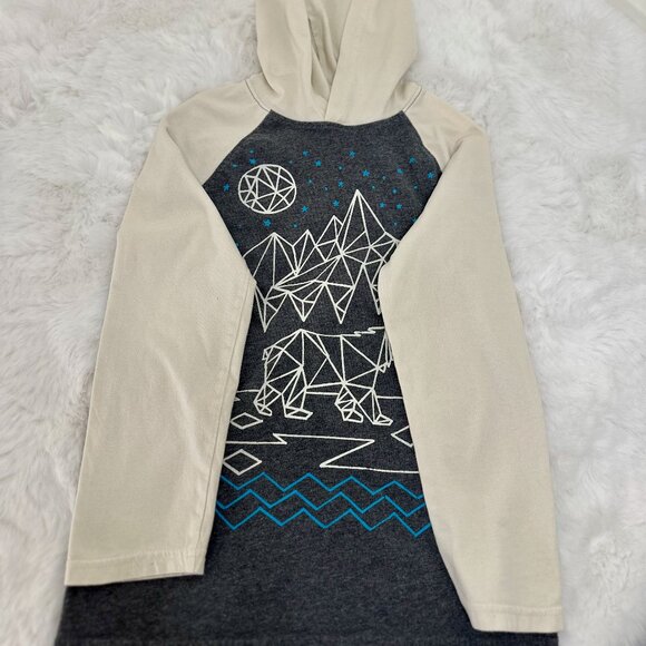 Gymboree long-sleeve hoodie t-shirt designed for boys - Picture 5 of 9